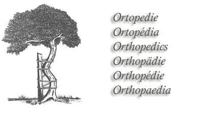ortopedie, ortopédia, orthopedics, orthopädie, orthopédie, orthopaedia